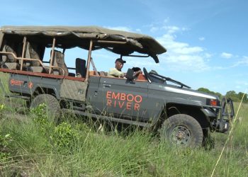 Safaris au Bénin: Une Aventure Sauvage