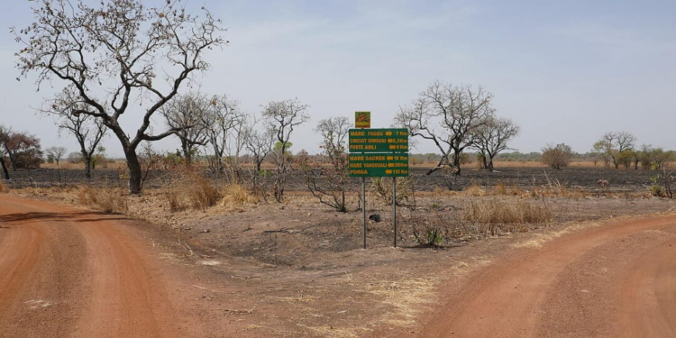 Road trip Parakou et Pendjari : itinéraire complet vers le Nord du Bénin