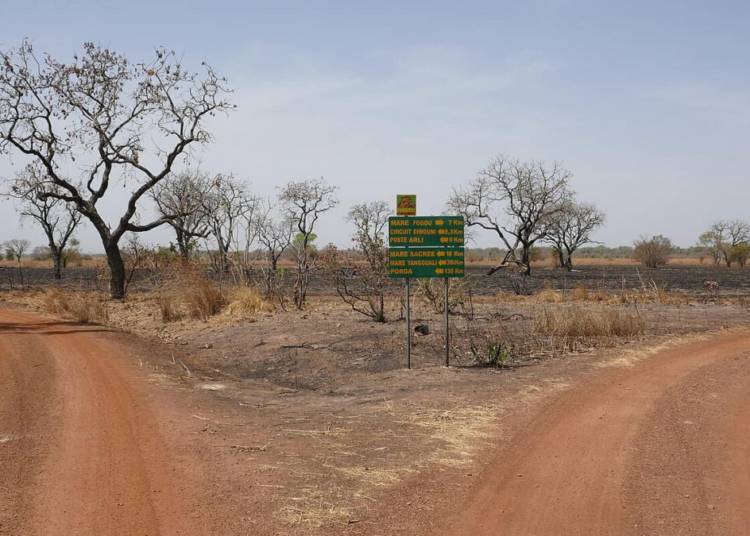 Road trip Parakou et Pendjari : itinéraire complet vers le Nord du Bénin