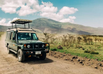 Pendjari 4×4 Adventure: Wildlife-Focused Road Trip in Benin