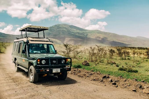 Pendjari 4×4 Adventure: Wildlife-Focused Road Trip in Benin